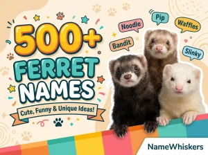 Ferret Names